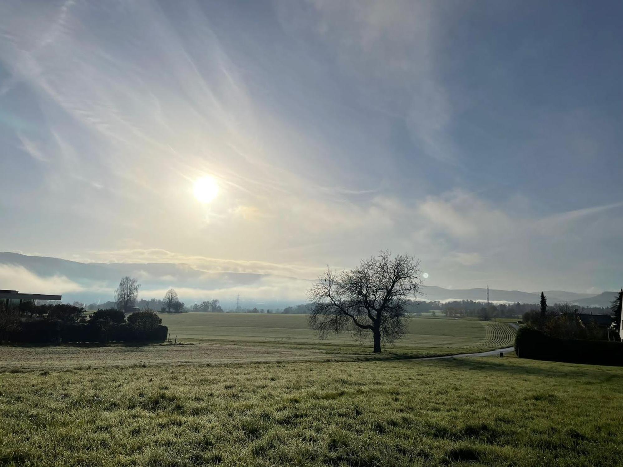 Le Petit Woerthel Villa Wolxheim Exteriör bild